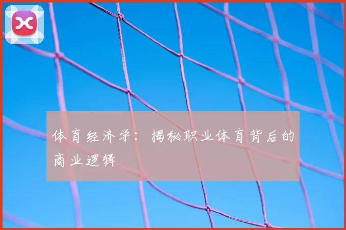 体育经济学：揭秘职业体育背后的商业逻辑