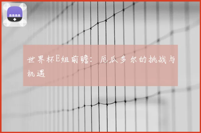 世界杯E组前瞻：厄瓜多尔的挑战与机遇