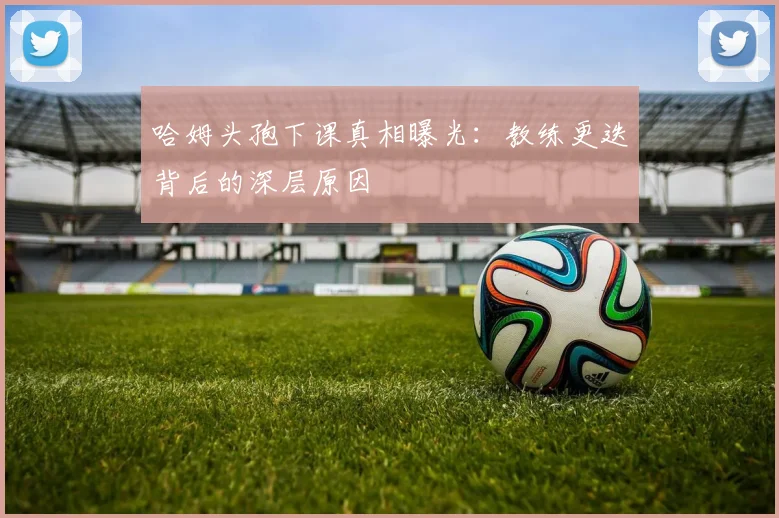 哈姆头孢下课真相曝光：教练更迭背后的深层原因