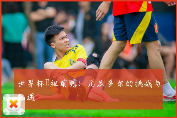 世界杯E组前瞻：厄瓜多尔的挑战与机遇