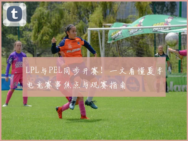LPL与PEL同步开赛!一文看懂夏季电竞赛事焦点与观赛指南